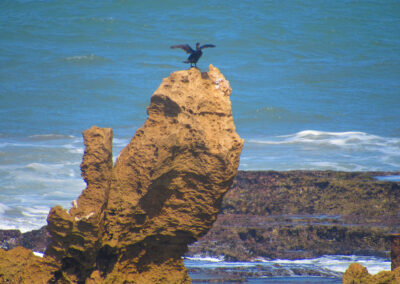 Atlas 2 Ocean Umdloti Holiday Accommodation